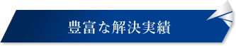 豊富な解決実績
